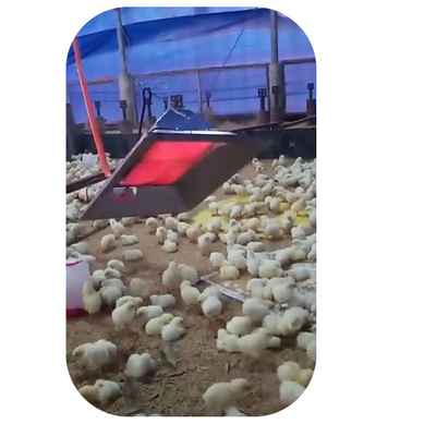養鶏場装置の家禽のための屋内プロパンのガスの鶏の保育箱のヒーター